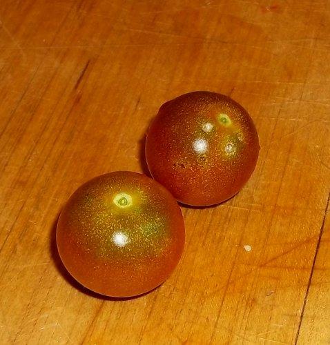 Photo of Solanum lycopersicum 'Chocolate Cherry' (Cherry Tomato)