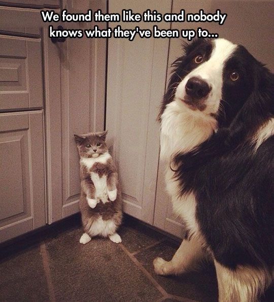 00-0-Suspicious.jpg