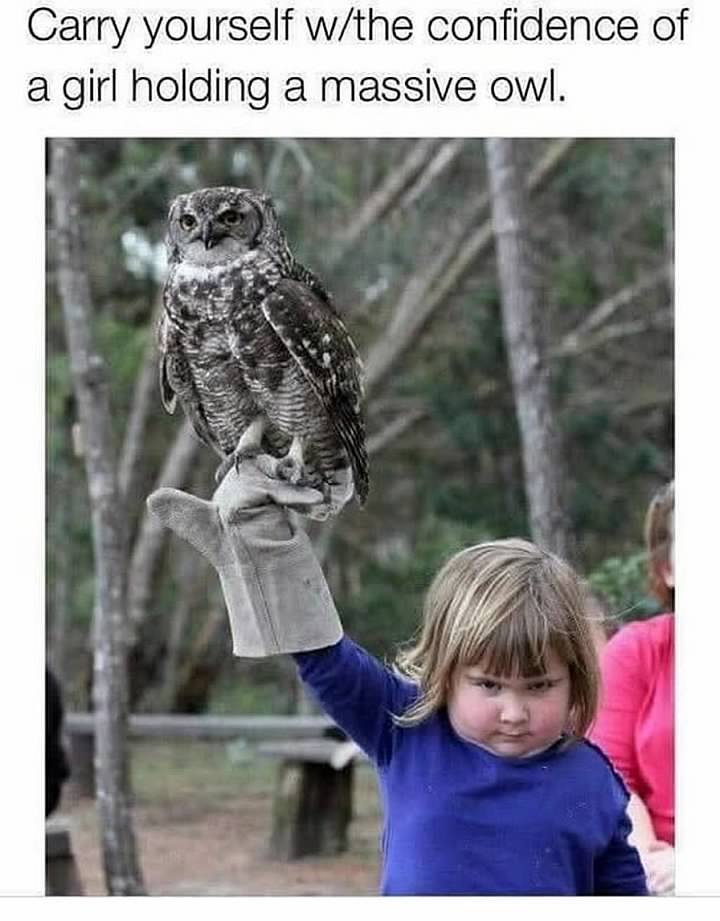 00-yYpWzpRsbl7MQ1e8YdnuD27bStXdMeXXsJdogiMgUcoo9neLMGdnlB_nEa7pyOlJldMTLfbtJ__wYVBQ_4iTow.jpg