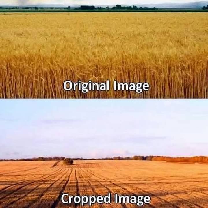 00-yYpWzpRsbl7MQ1e8YdnuD27bStXdMeXXsJdogiMgUcpFeCYUsO60Sy5kp4CgfJdfaAUrgnwgvQnZ_1RWb7NZPA.jpg