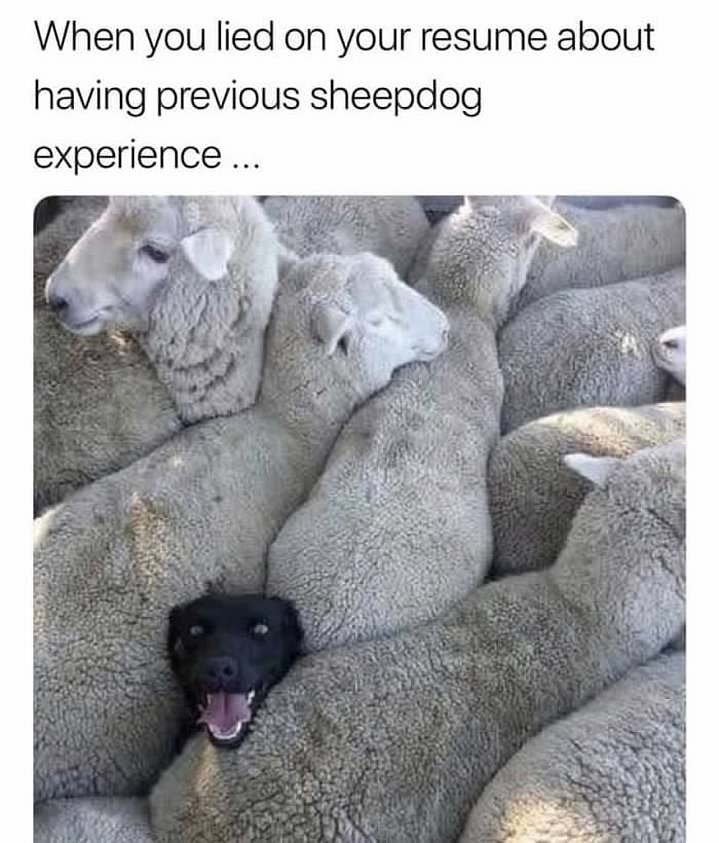 00-yYpWzpRsbl7MQ1e8YdnuD27bStXdMeXXsJdogiMgUcpLBpouiPjS7rBoRK2A9CdI.jpg