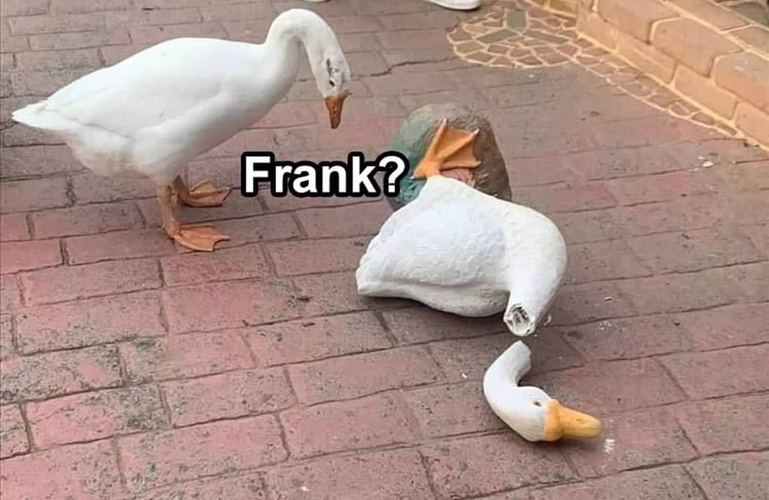 00-yYpWzpRsbl7MQ1e8YdnuD27bStXdMeXXsJdogiMgUcqFO4rpC8zTfGFIrLhMFzZ25cYdfB3jRoL_VZILaXEufg.jpg