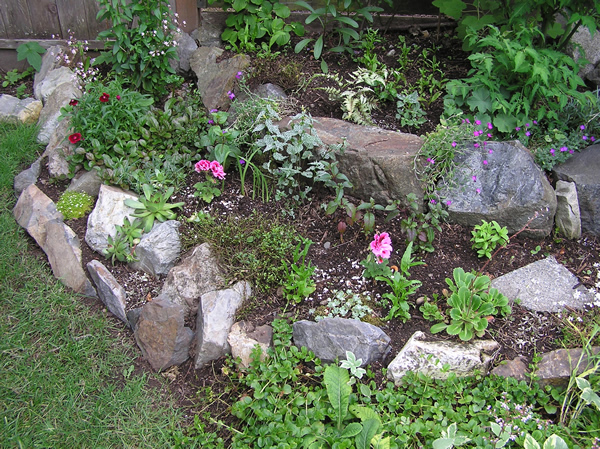001 garden.jpg