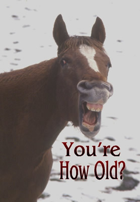 01 horse.jpg