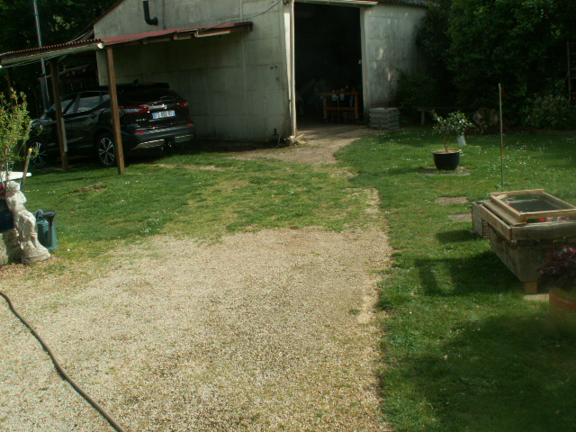 010.JPG