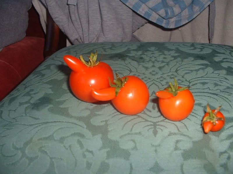 011-9.jpg