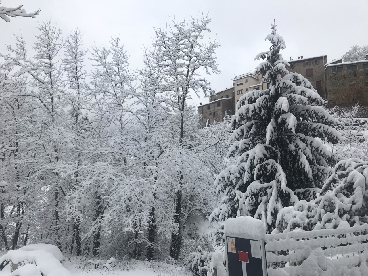 023C1D32-226C-45D4-AE49-912AAB582126.jpeg