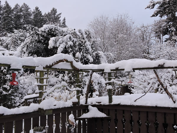 02snow.jpg