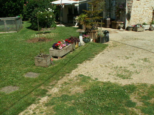030.JPG