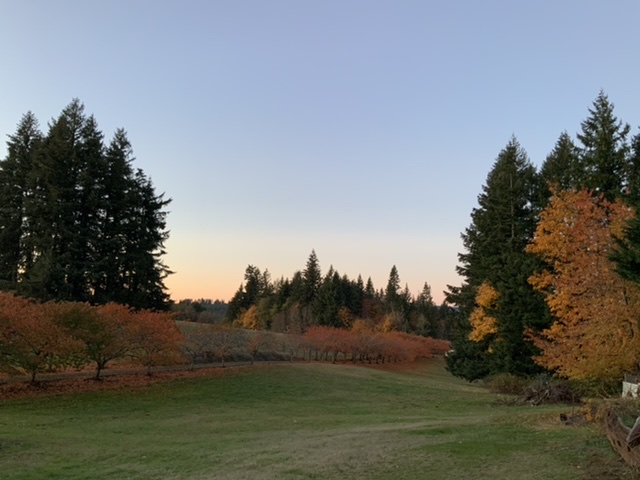 03C3B469-C8F7-486E-8535-1D817444A06C.jpeg