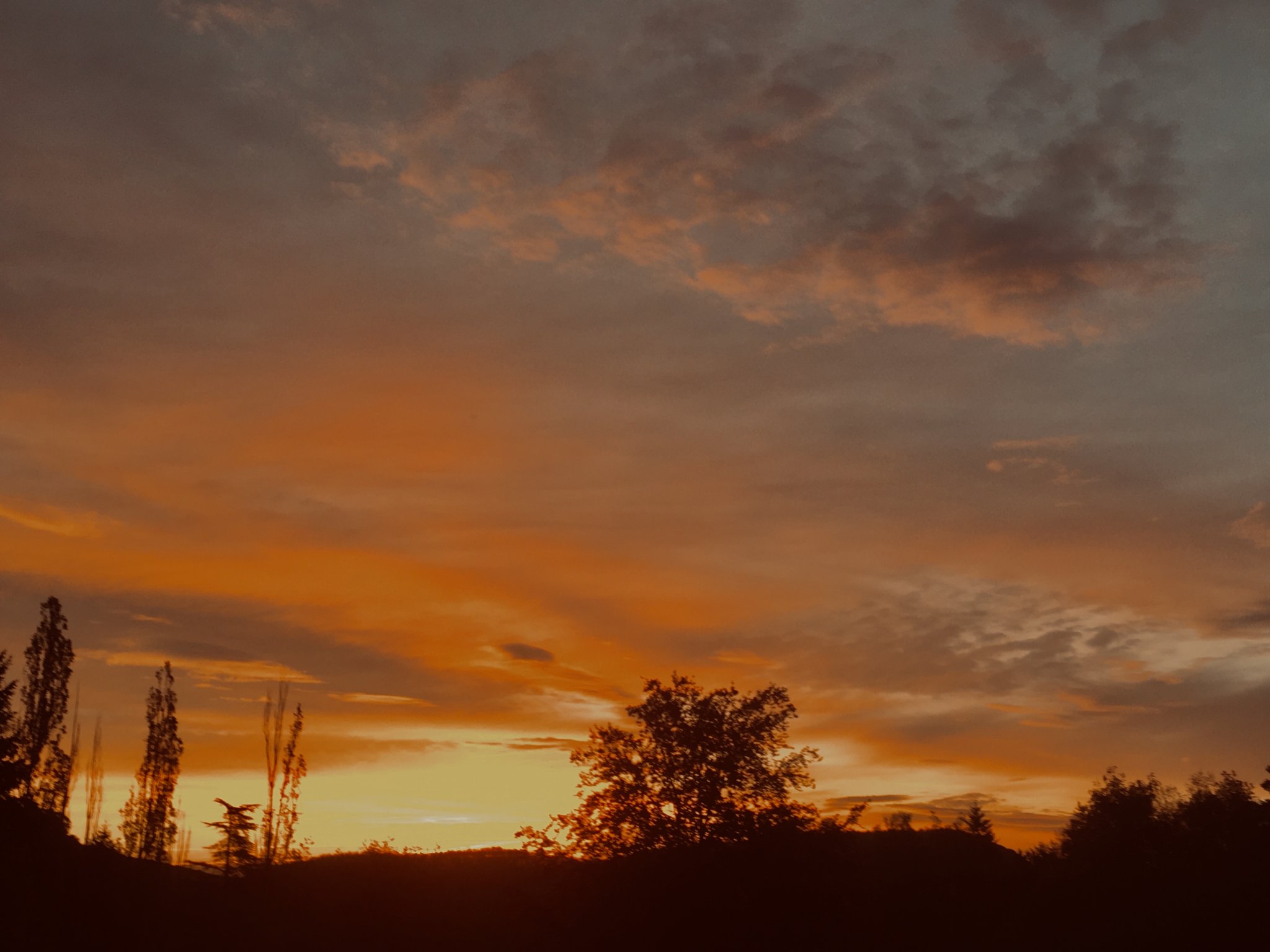 0427C7BF-6D01-4390-B026-0DADC9744BF0.jpeg
