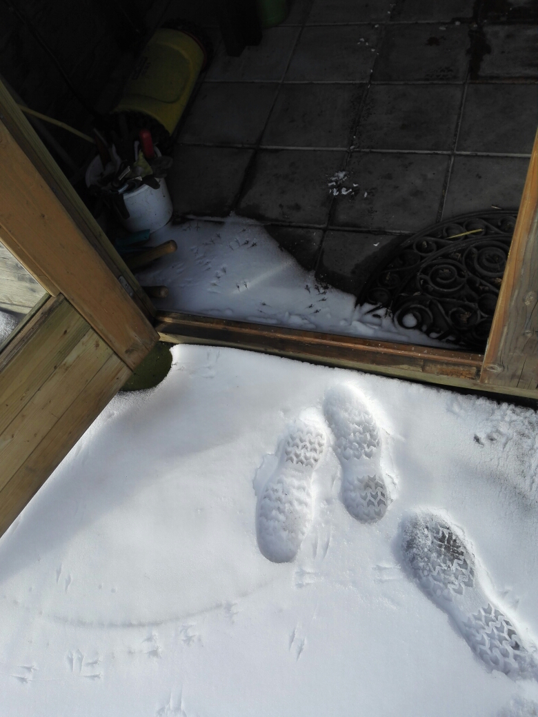 04497235-1617-4270-86C6-556CF001E500.jpeg