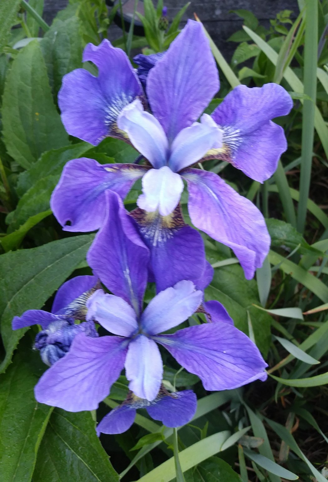 0530230649_Burst01-1.jpg