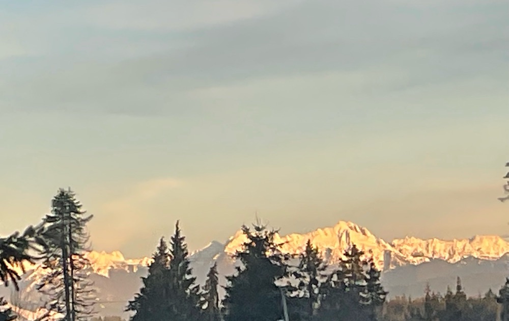 07D7244D-6EB1-4B79-B6C1-E43BECB8DF47.jpeg