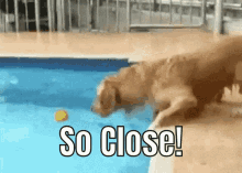 088C21D7-2E54-411B-820E-DBC8FD9C731D.gif