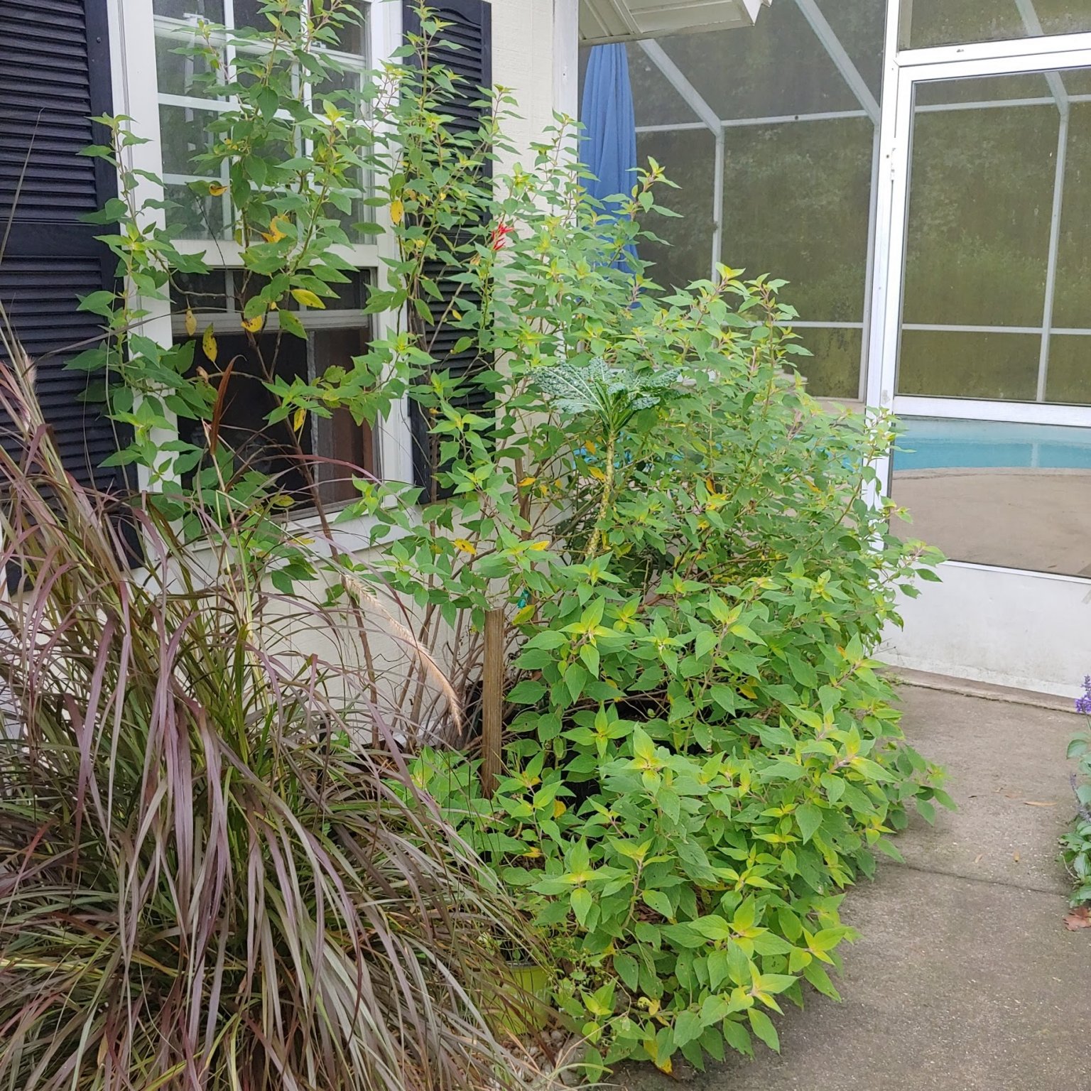 0919201136_HDR.jpg