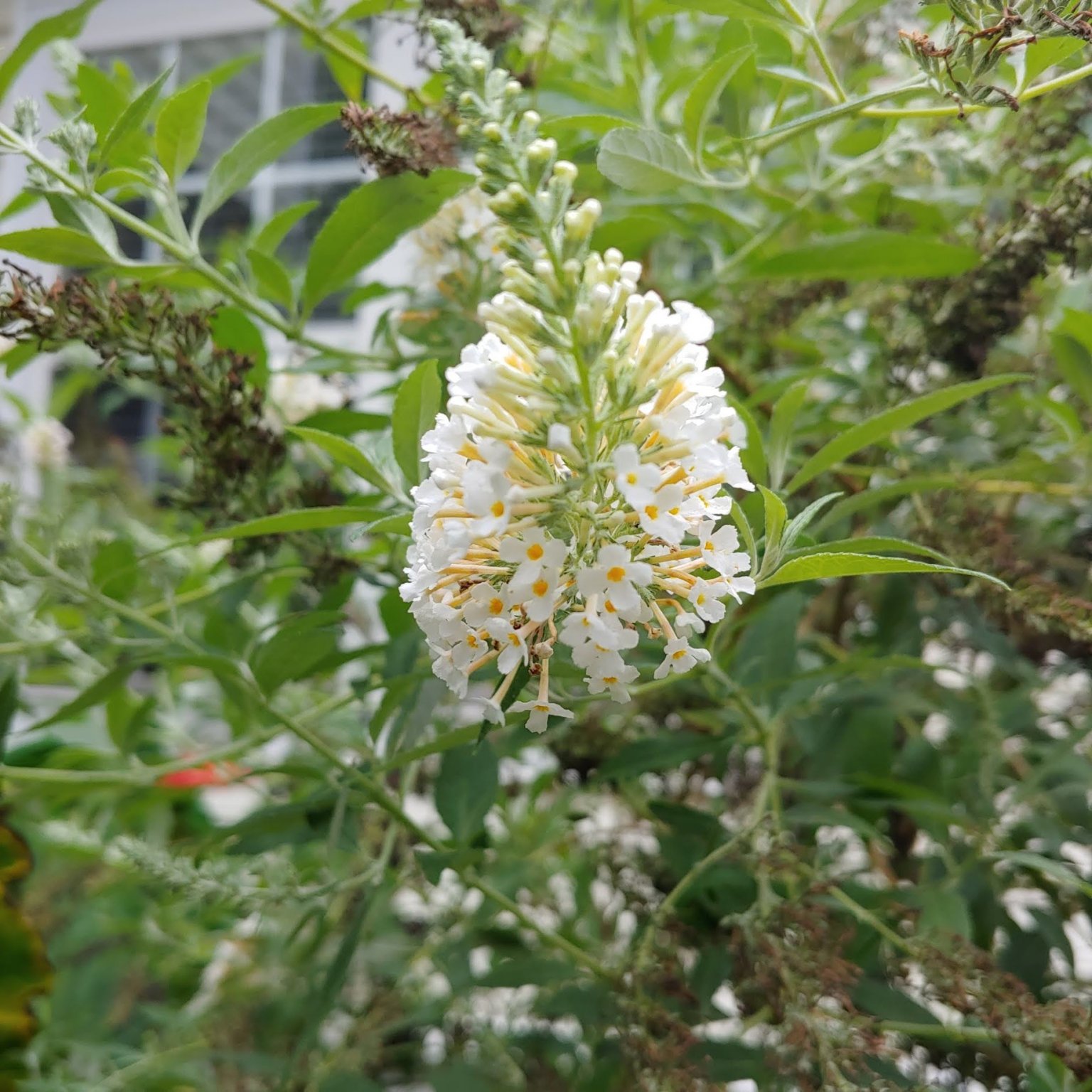 0919201252b_HDR.jpg