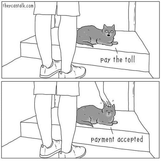0F92A298-355B-4CDE-9AA5-E0CCDB87FD3C.jpeg