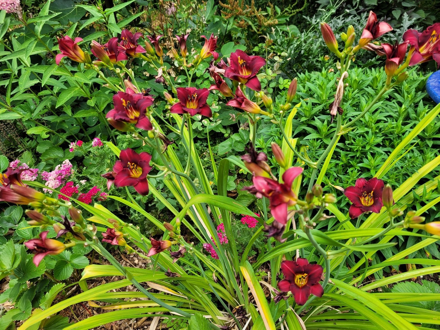 1000000450_resize_1753461439347.jpg