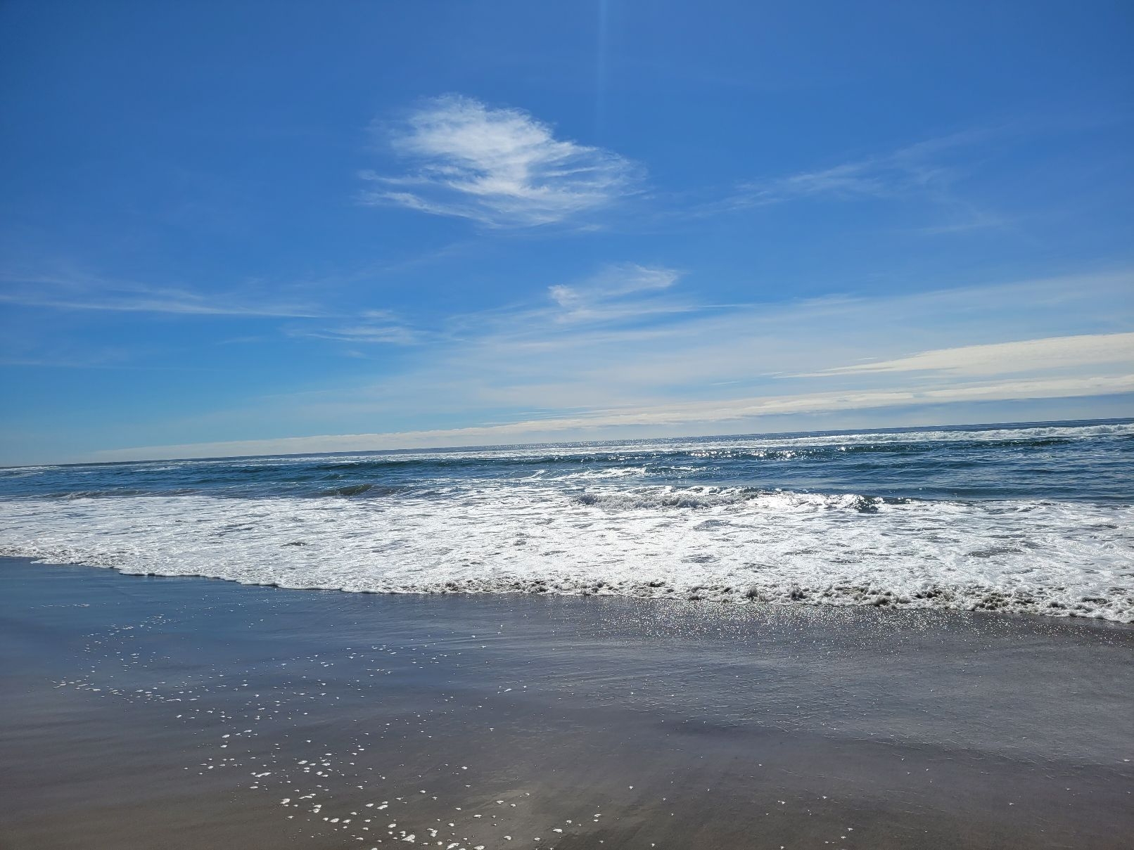 1000000491_resize_1754692884841.jpg