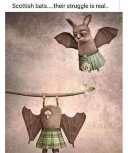 1000003123.png