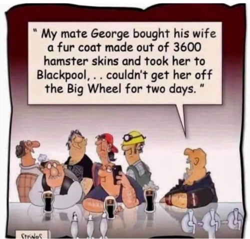 1000005199.jpg