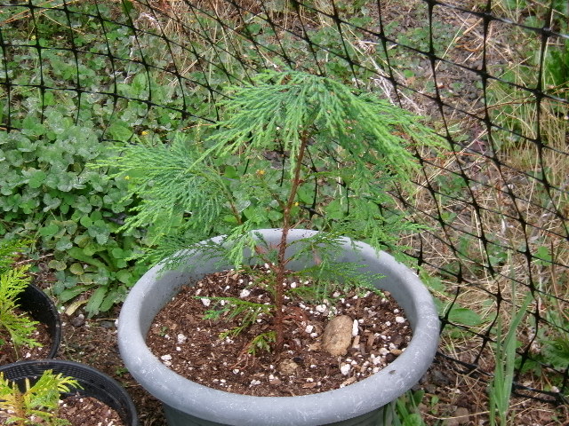 100_0443.JPG