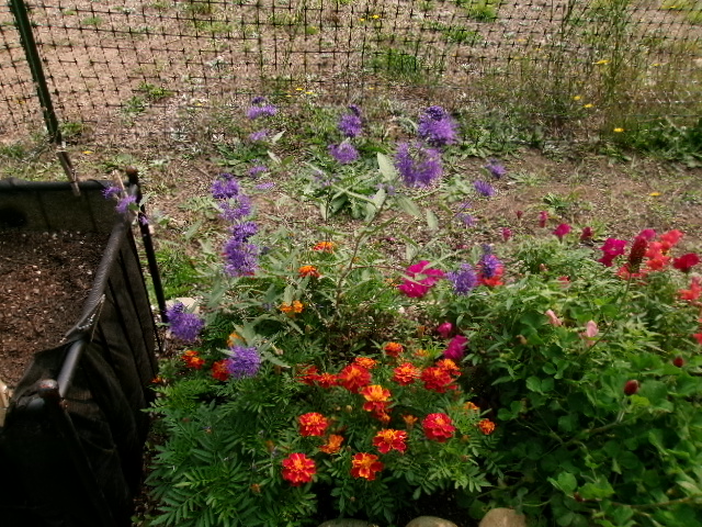 100_0458.JPG