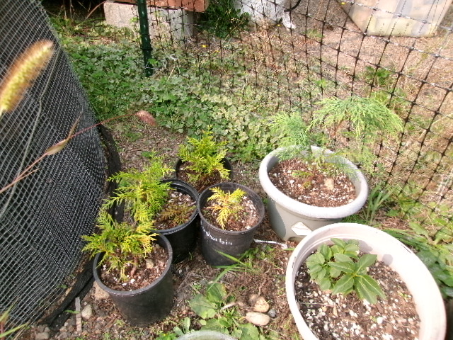 100_0465.JPG