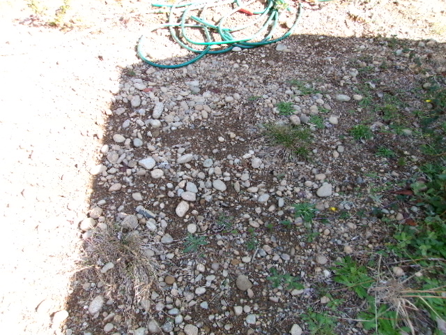 100_0479.JPG
