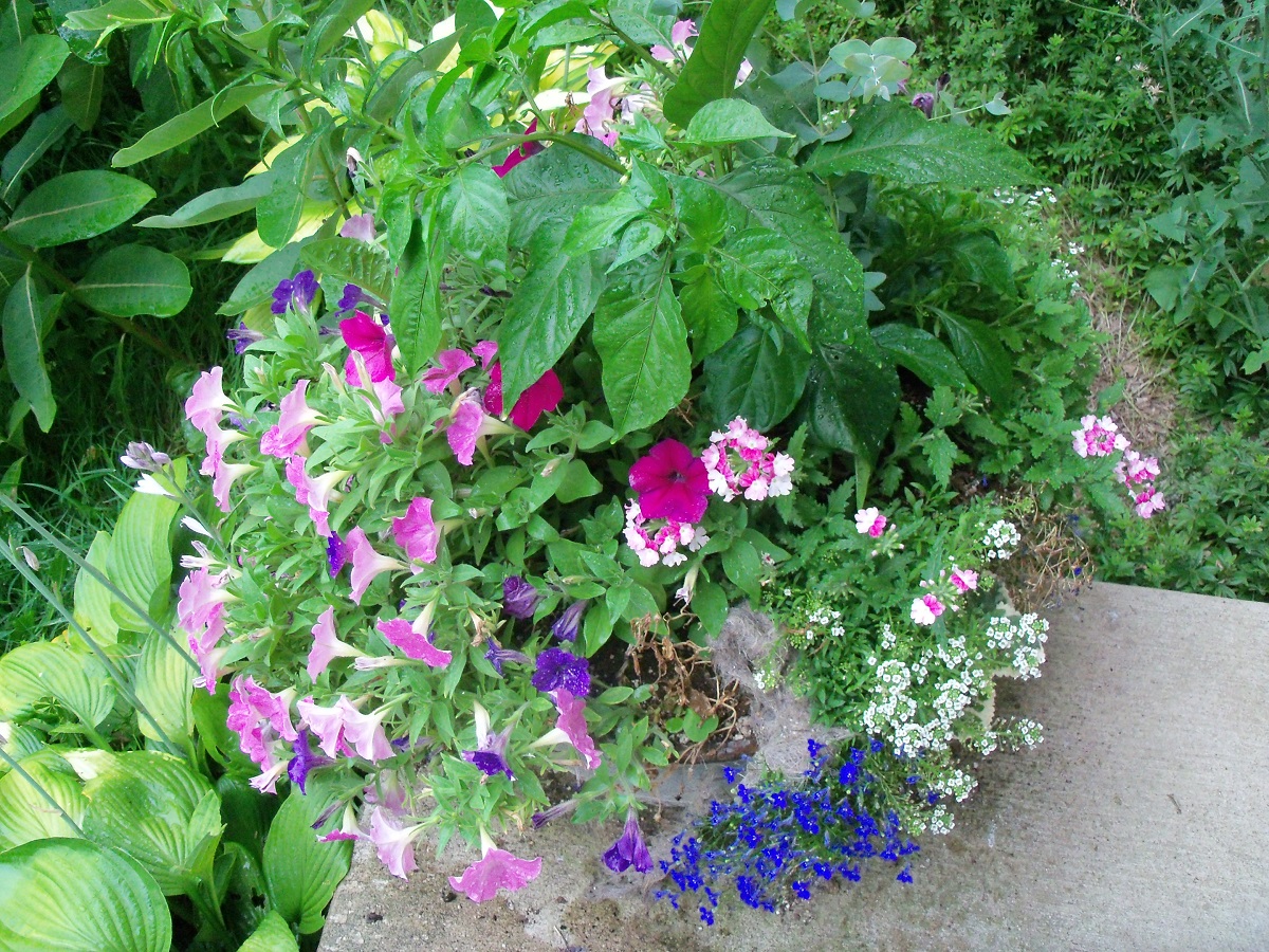 100_0560.JPG