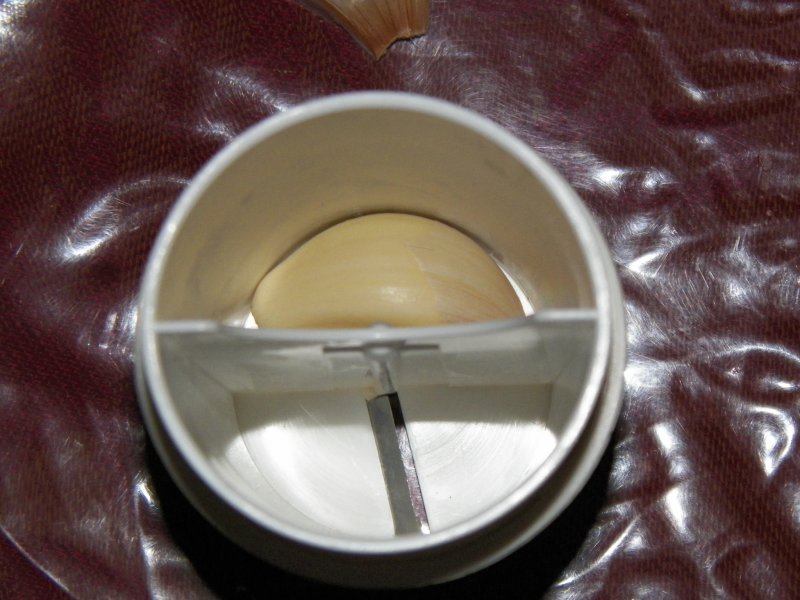 100_1821.JPG