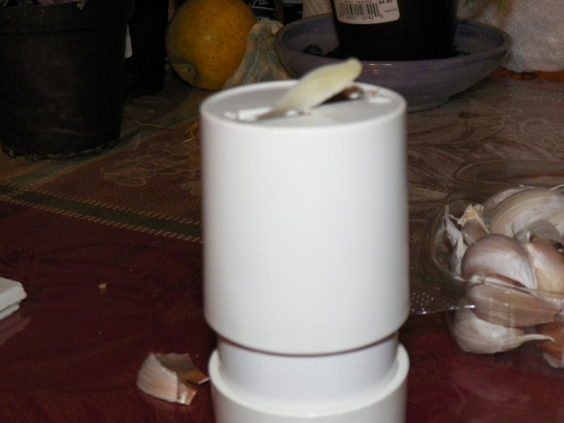 100_1828.JPG