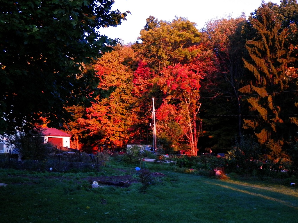 100_2425.JPG