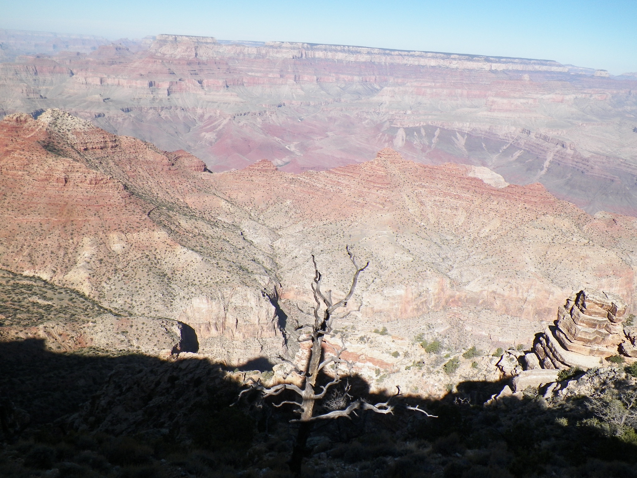 100_2469.JPG