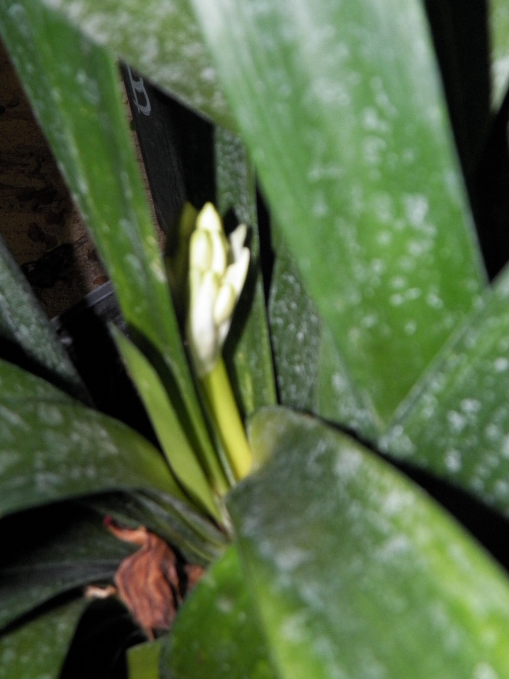 100_2574.JPG