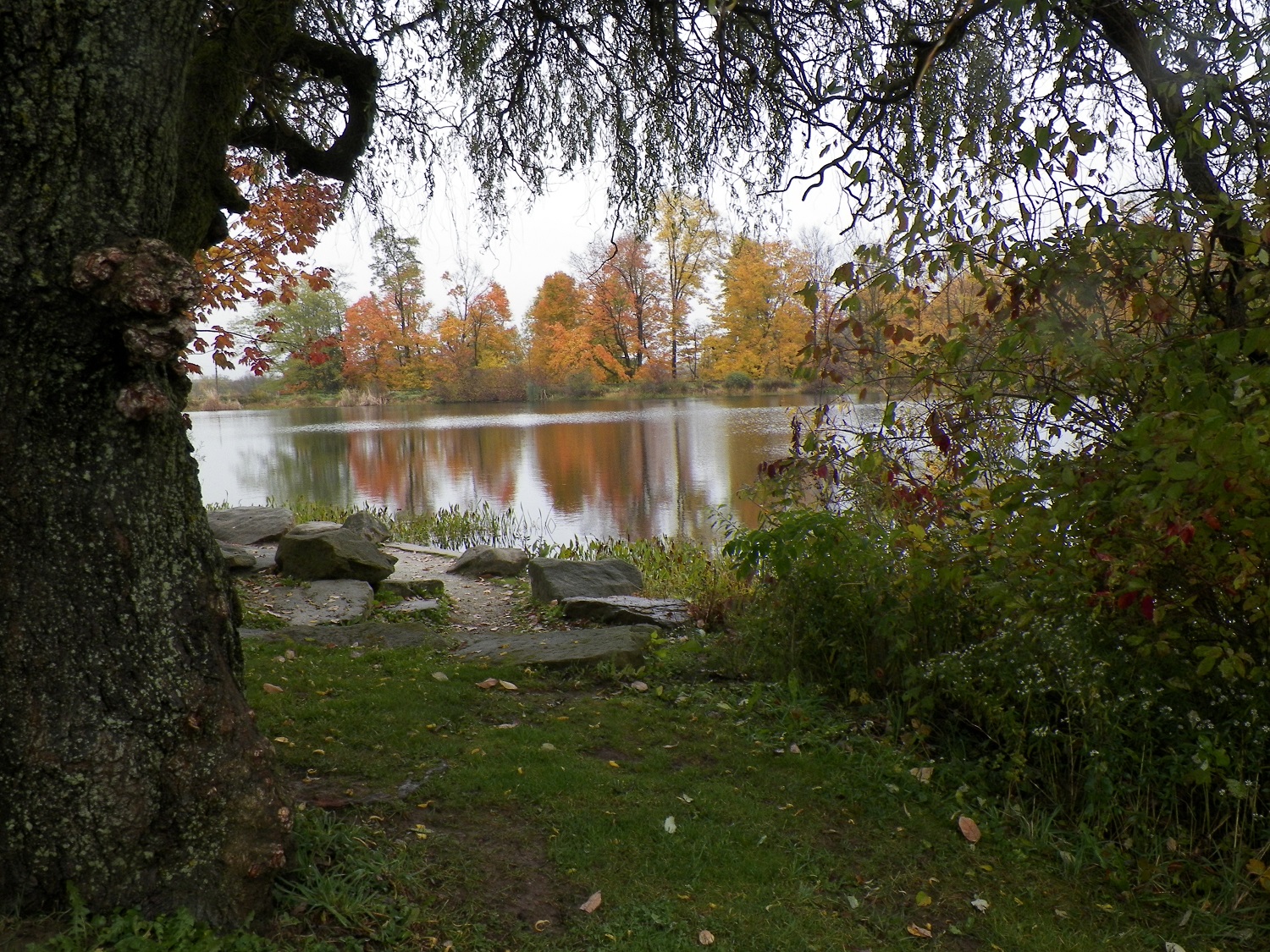 100_2742.JPG