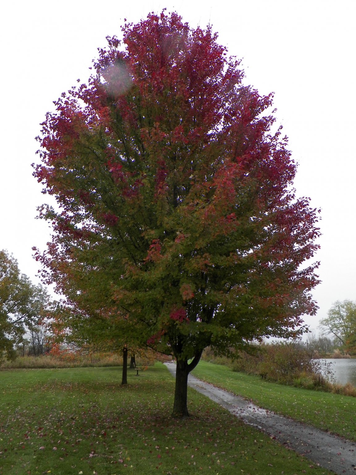 100_2745.JPG