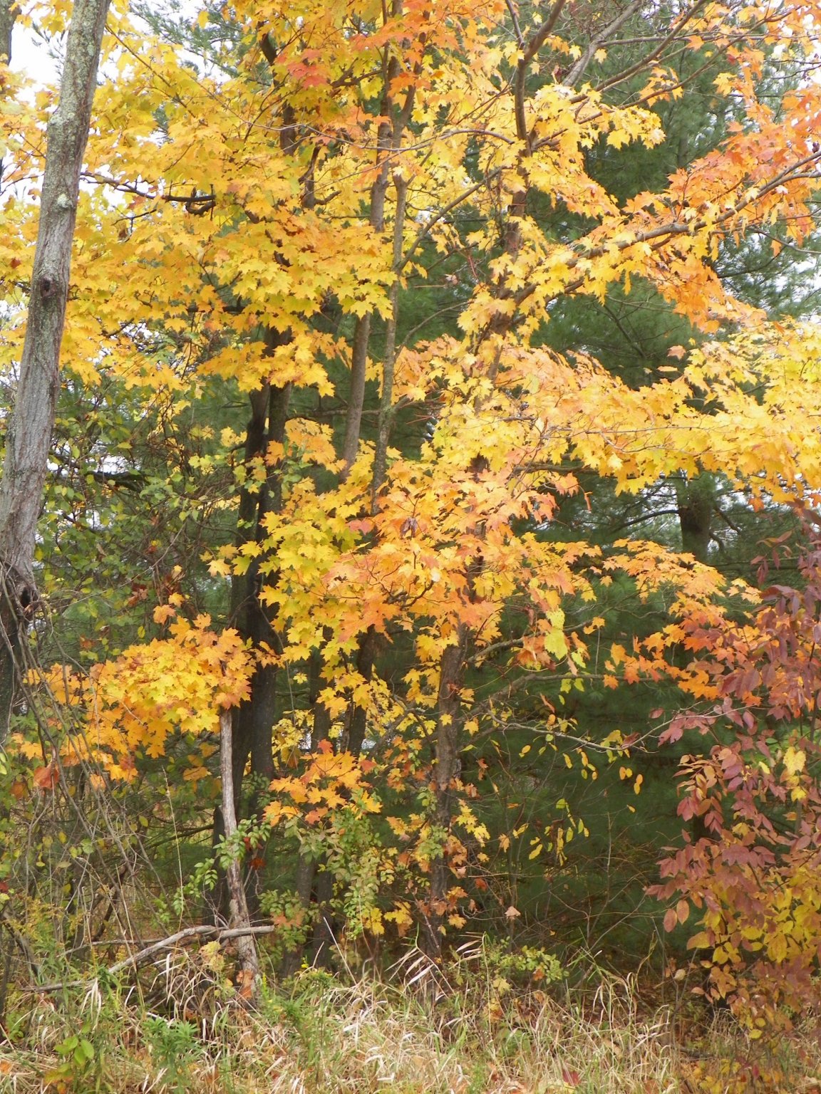 100_2756.JPG