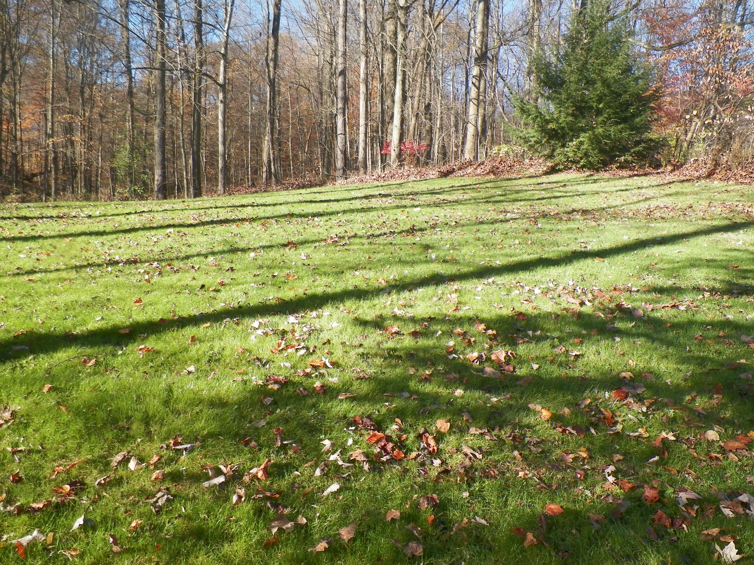 100_2764.JPG
