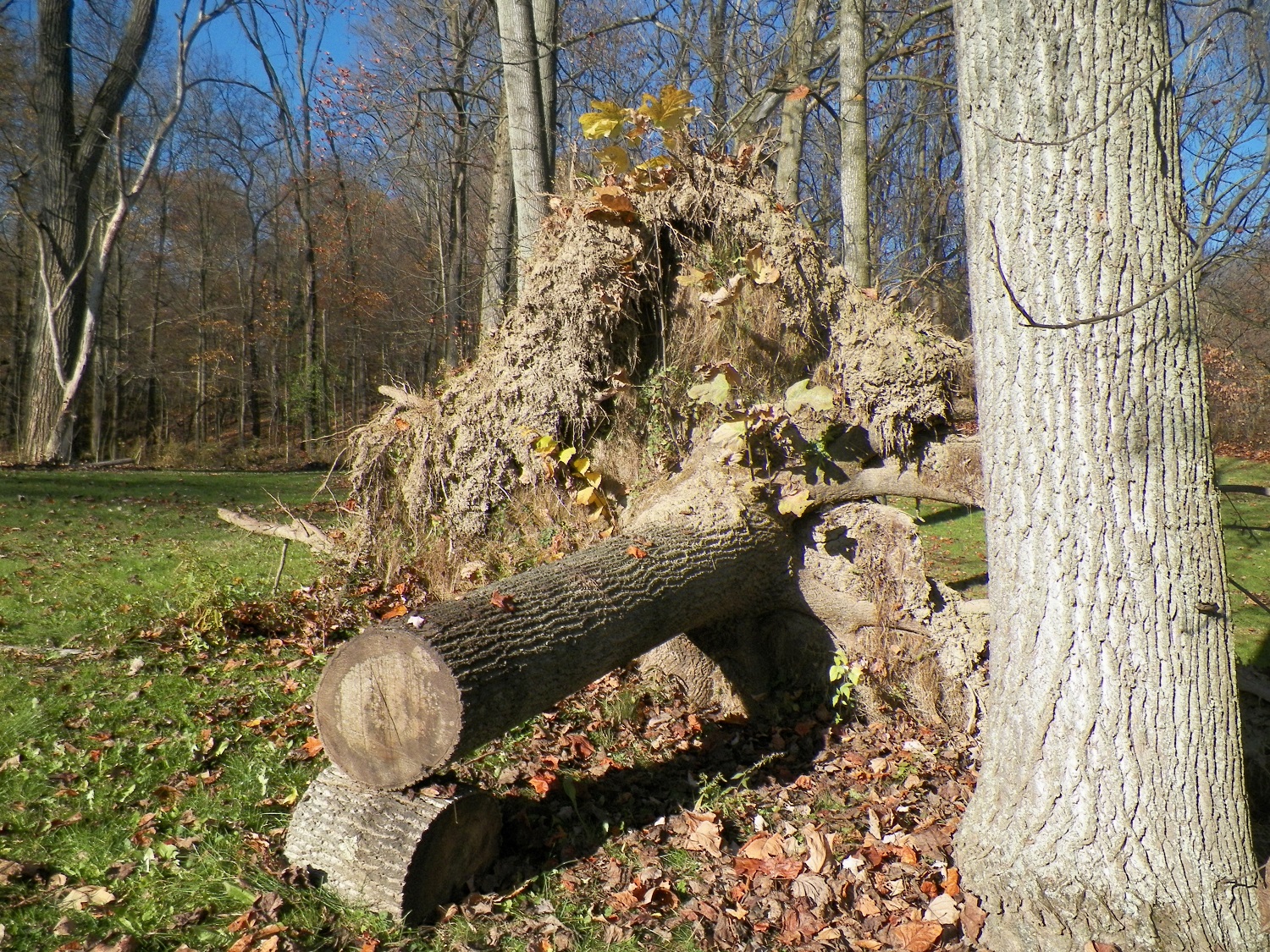 100_2765.JPG