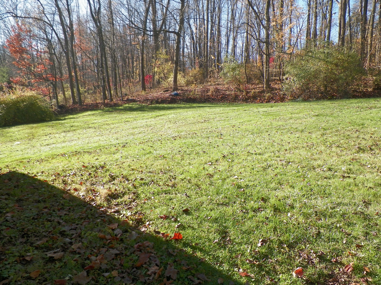100_2768.JPG