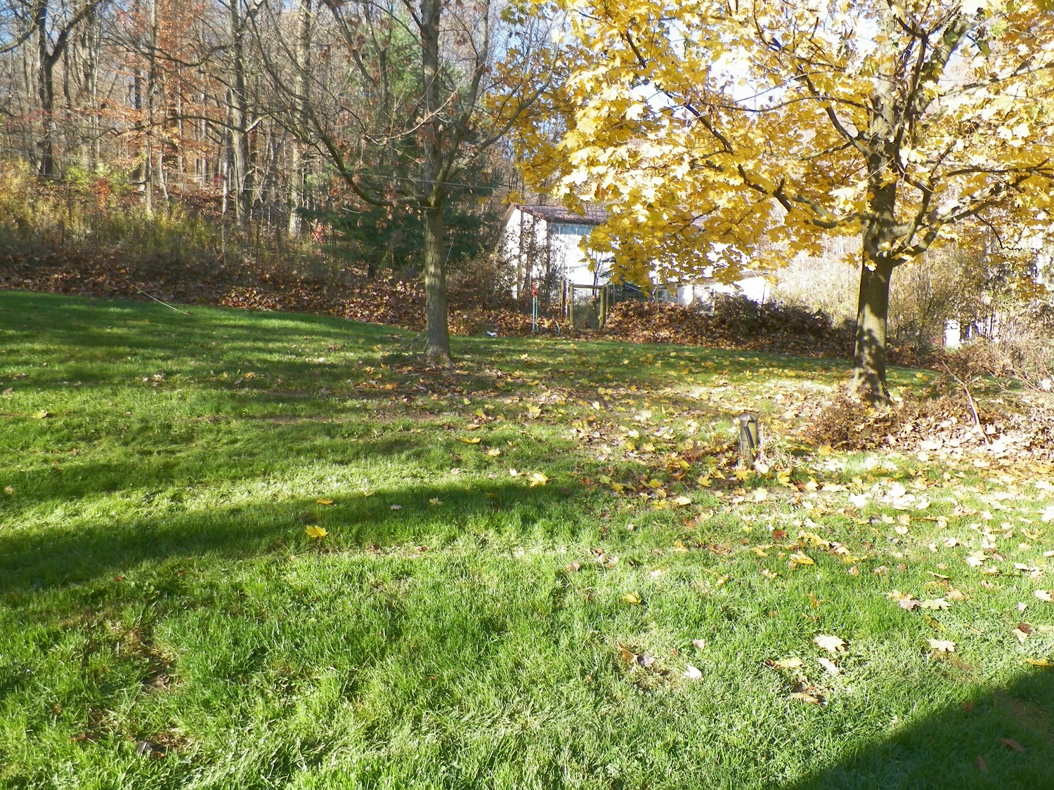 100_2770.JPG