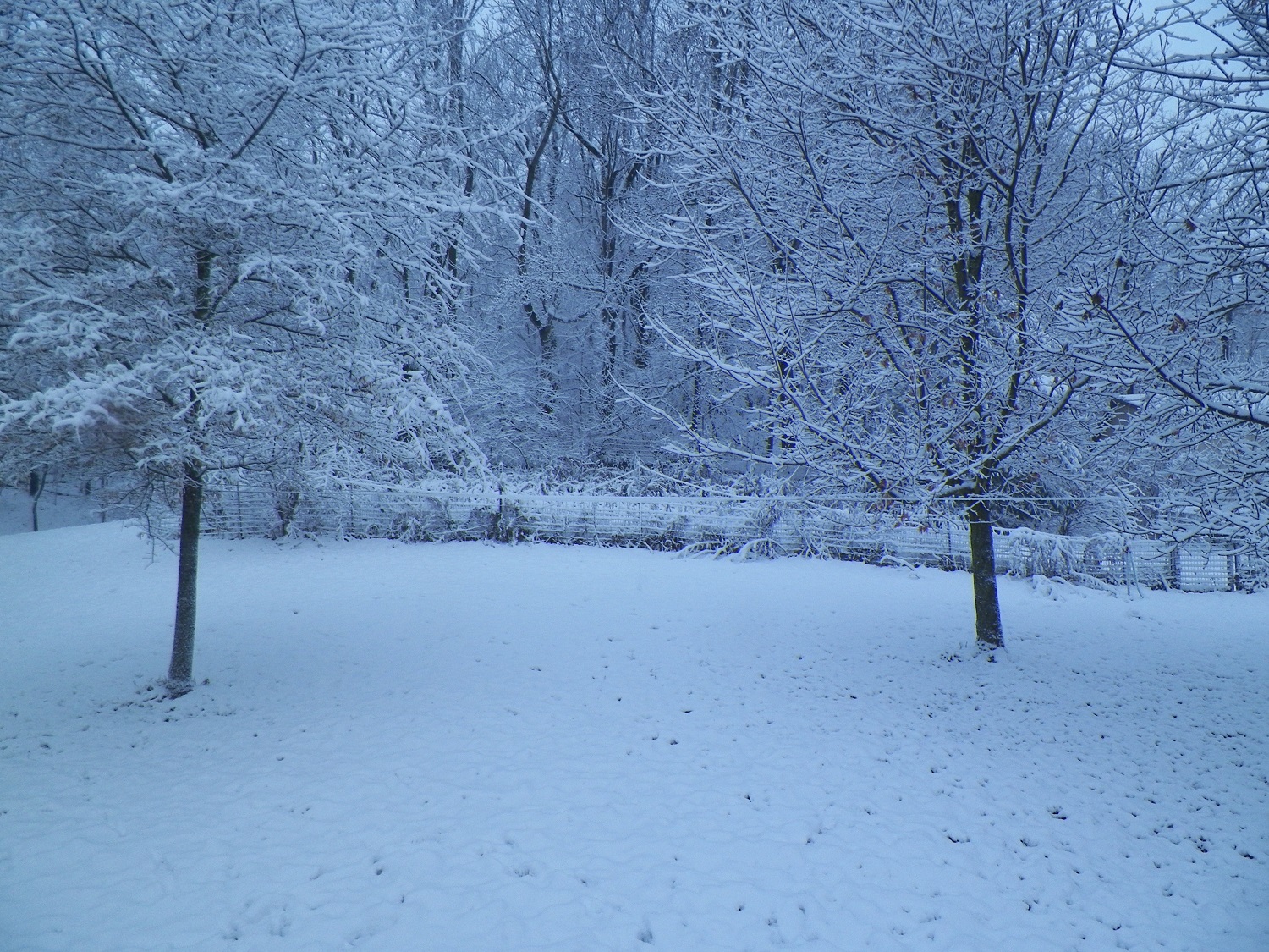 100_2796.JPG