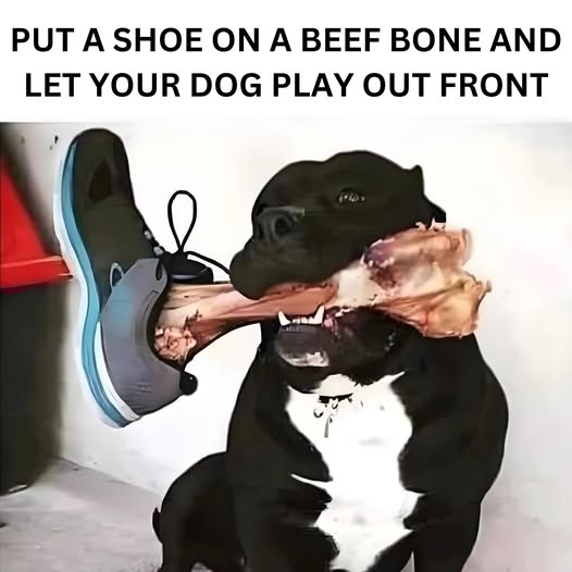 1017229763.jpg