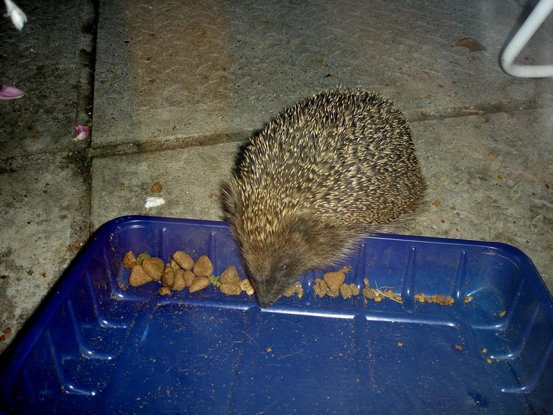 14th June 2007 002.jpg