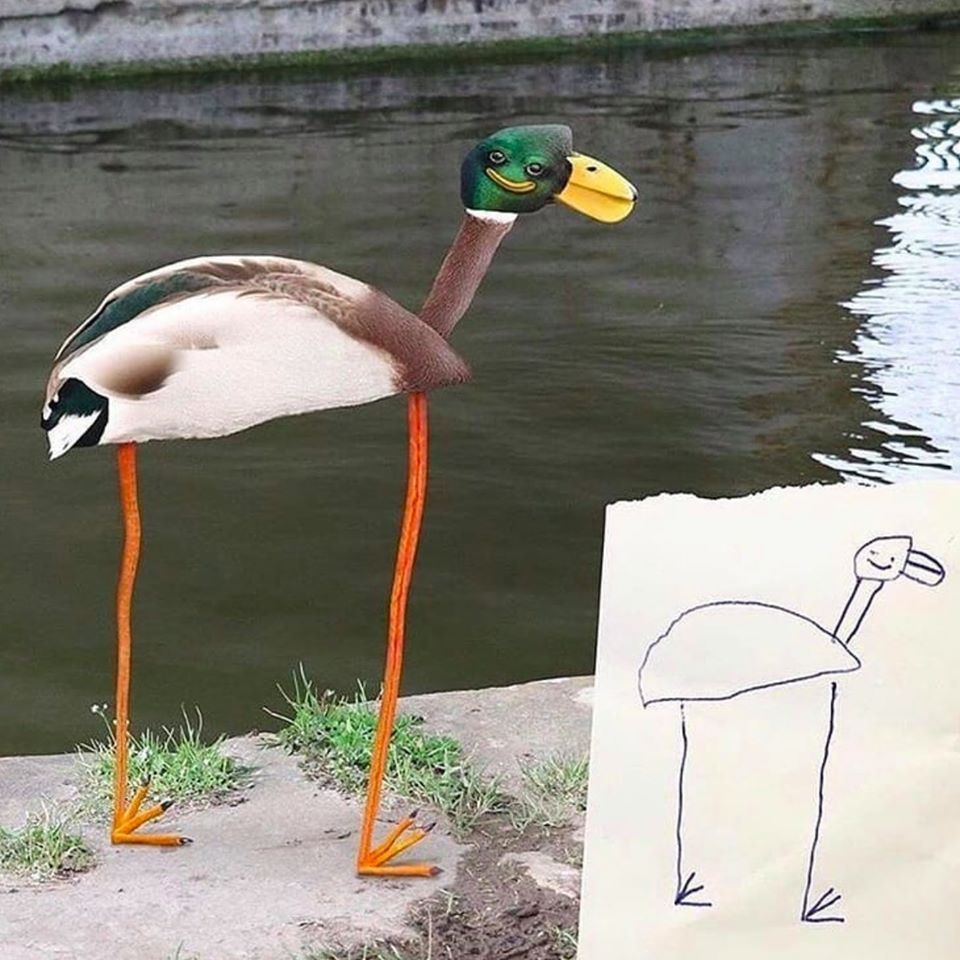 1586638463430.png
