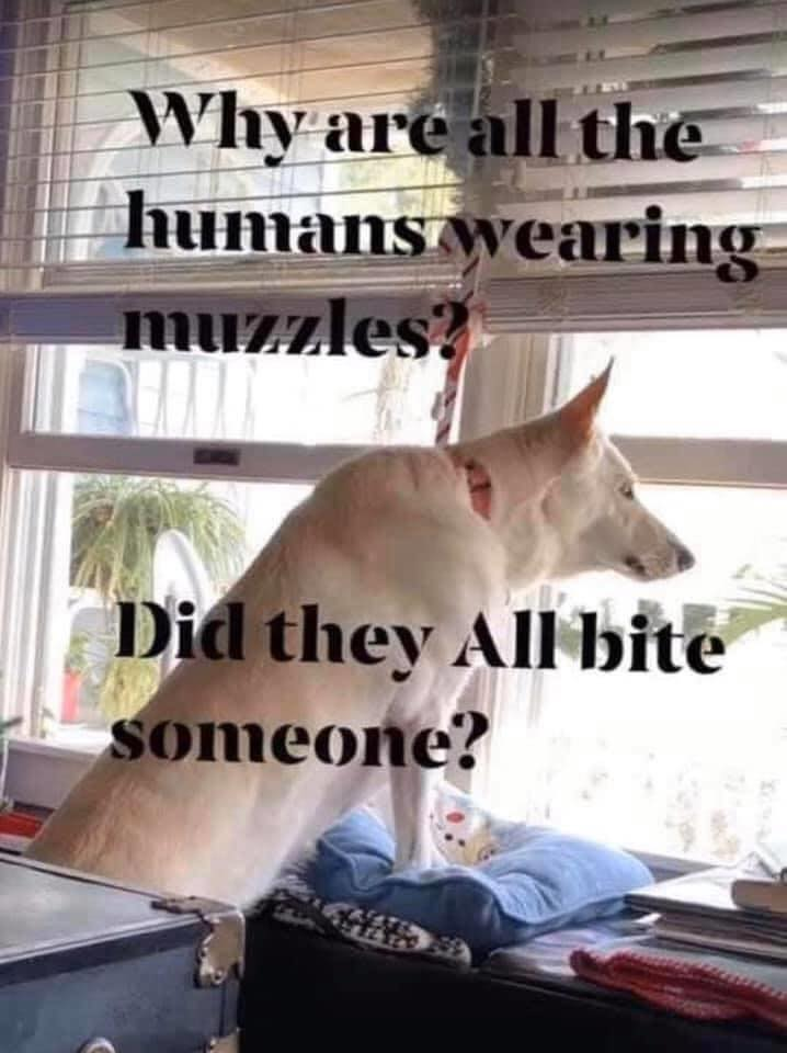 1587274306820.png