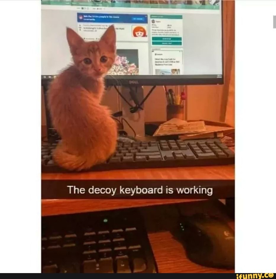 1591714055925.png