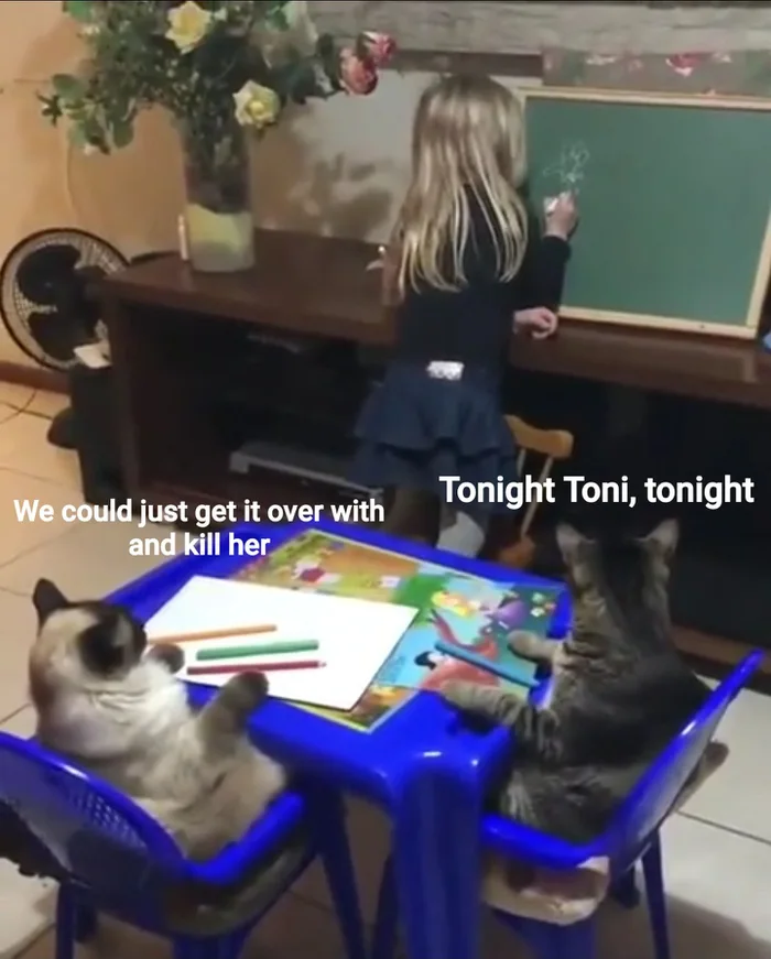1595777381241.png